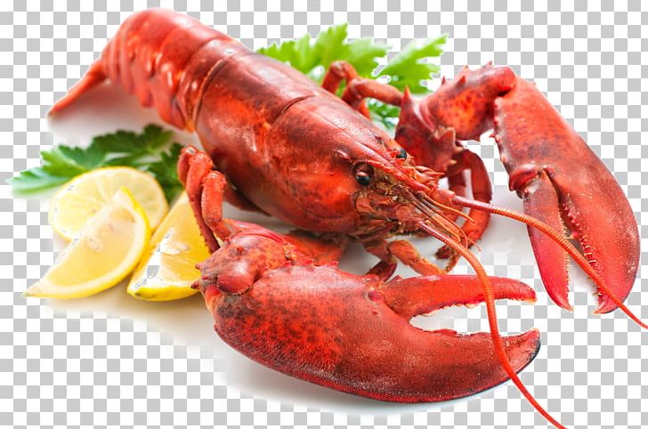 Lobster Roll Chowder Cooking Boiling American Lobster PNG, Clipart, American Lobster, Animals, Animal Source Foods, Boiling, Cajun Food Free PNG Download