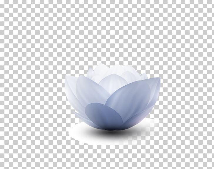 Nelumbo Nucifera Icon PNG, Clipart, Adobe Illustrator, Computer Wallpaper, Download, Encapsulated Postscript, Euclidean Vector Free PNG Download