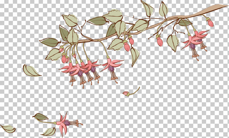 Flower Plant Pedicel Honeysuckle Fuchsia PNG, Clipart, Drawing Flower, Evening Primrose Family, Floral Drawing, Flower, Fuchsia Free PNG Download