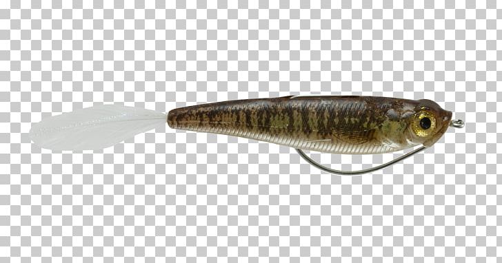 Bony Fishes Fishing Baits & Lures Spoon Lure PNG, Clipart, Animal, Bait, Bony Fish, Bony Fishes, Fish Free PNG Download