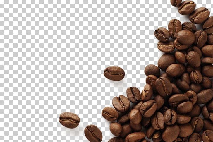 Coffee Bean Espresso Cafe Kopi Luwak PNG, Clipart, Background Black, Bean,  Beans, Black, Black B Free