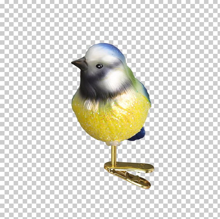 Finches Chickadee Eurasian Blue Tit Beak PNG, Clipart, Beak, Bird, Chickadee, Christmas, Eurasian Blue Tit Free PNG Download