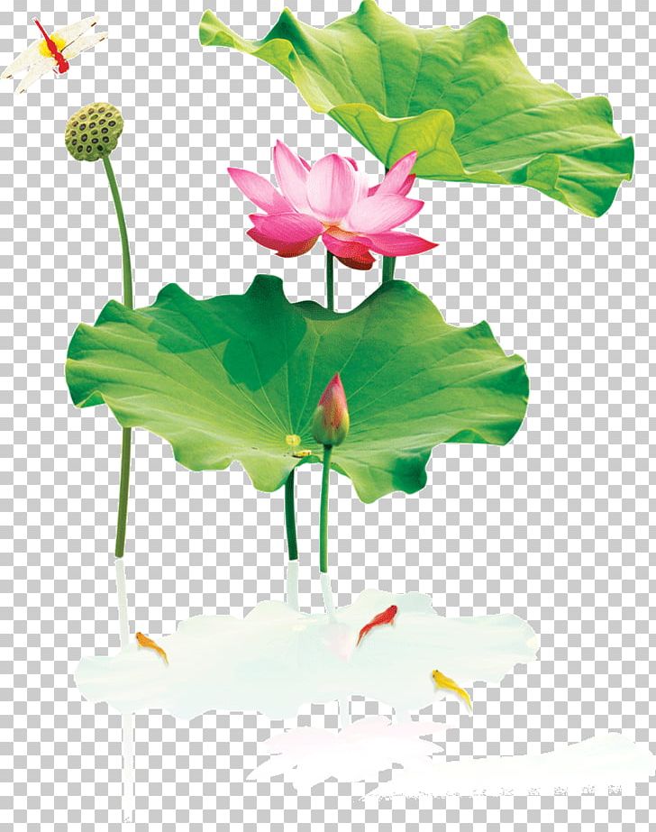 Nelumbo Nucifera Ink Wash Painting PNG, Clipart, Aquatic Plant, Chinoiserie, Color, Flora, Floral Design Free PNG Download