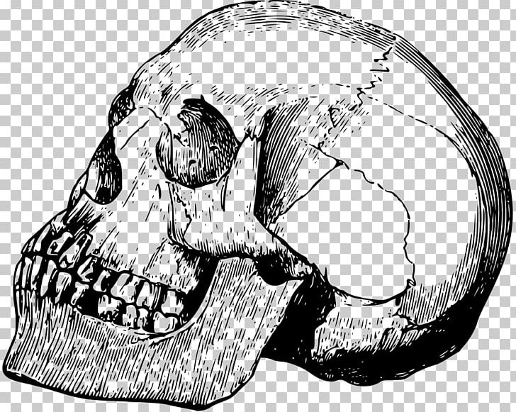 Nose Calavera Skull Drawing PNG, Clipart, Automotive Design, Black And White, Bone, Calavera, Computer Icons Free PNG Download