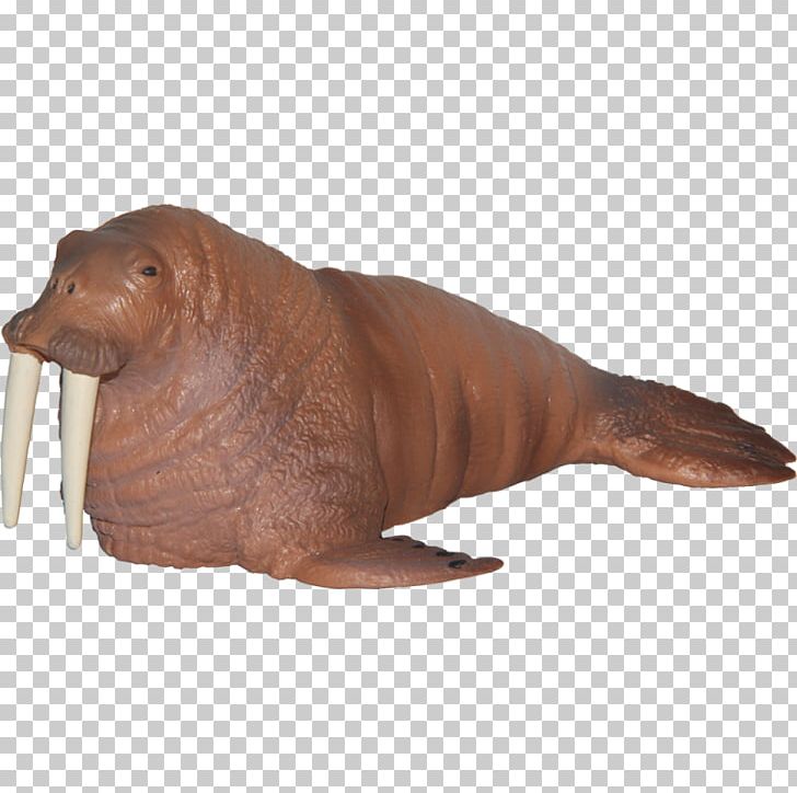 Walrus Sea Lion Toy Animal Maia & Borges Sealife Walross Seelöwe Handbemalt Seetiere PNG, Clipart, Animal, Animal Figure, Animals, Aquatic Animal, Carnivore Free PNG Download