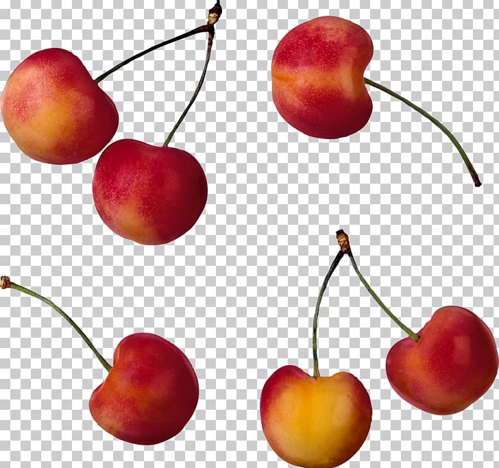 Royal Ann Cherry Food Photography PNG, Clipart, Cherry, Download, Food, Fruit, Fruit Nut Free PNG Download