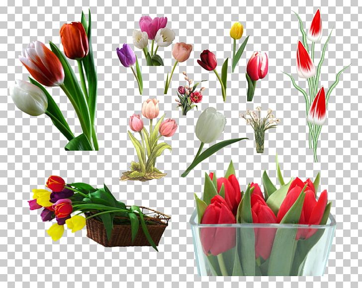 Tulip Cut Flowers Flower Bouquet PNG, Clipart, Bucket, Cut Flowers, Floral Design, Floristry, Flower Free PNG Download