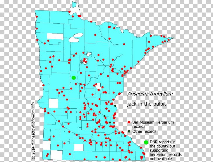 Minnesota Perennial Sow Thistle Spotted Joe-pye Weed Panicum Capillare PNG, Clipart, Angle, Area, Arum Family, Common Couch, Invasive Species Free PNG Download