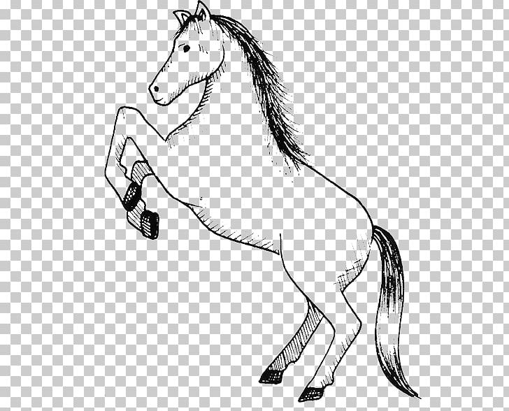 Mule Stallion Mustang Colt Mane PNG, Clipart, Artwork, Black And White, Bridle, Colt, Donkey Free PNG Download