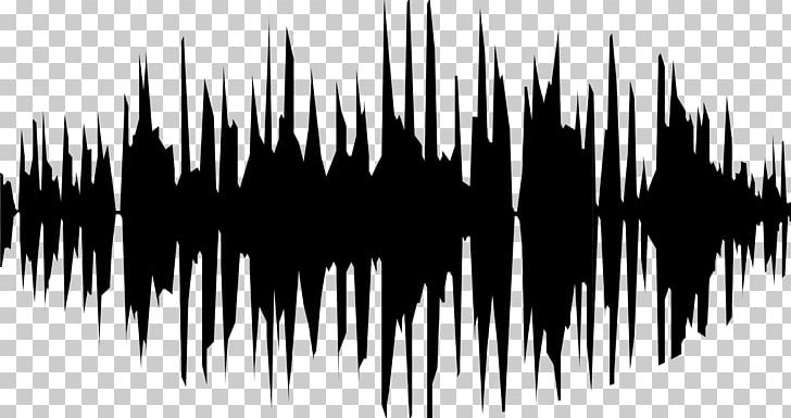 Sound Wave Audio Signal PNG, Clipart, Angle, Audio Signal, Black And White, Computer Icons, Computer Wallpaper Free PNG Download