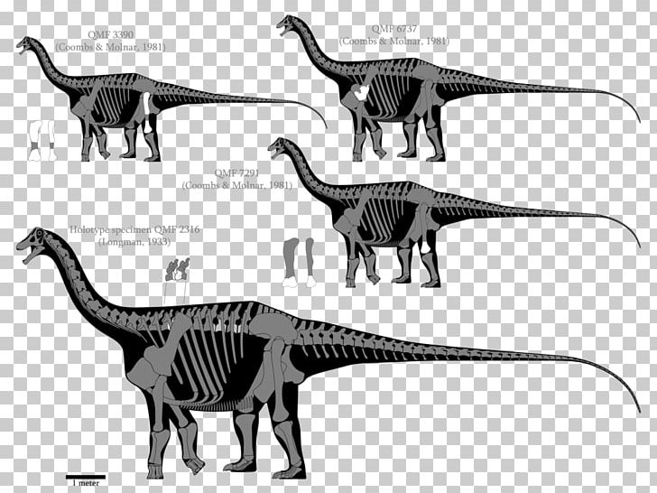 Austrosaurus Dinosaur Diamantinasaurus Barosaurus Amphicoelias PNG, Clipart, Animal, Barosaurus, Black And White, Carnivoran, Cat Like Mammal Free PNG Download