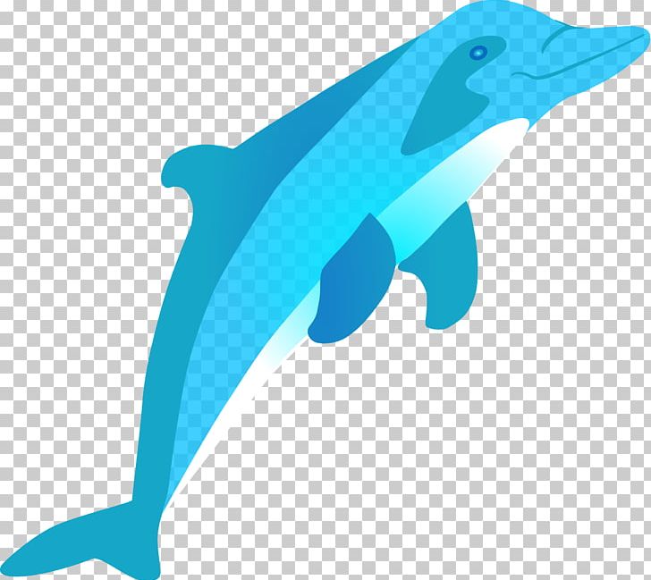 Bottlenose Dolphin Amazon River Dolphin PNG, Clipart, Amazo, Animal Figure, Animals, Aqua, Bottlenose Dolphin Free PNG Download