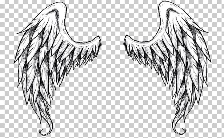 Drawing Art Painting Sketch PNG, Clipart, Angel, Art, Art Museum, Beak, Bird Free PNG Download