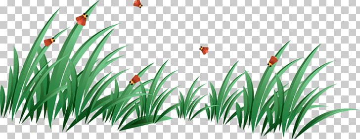 Lawn PNG, Clipart, Art Green, Background Green, Butterfly, Clip Art, Computer Wallpaper Free PNG Download