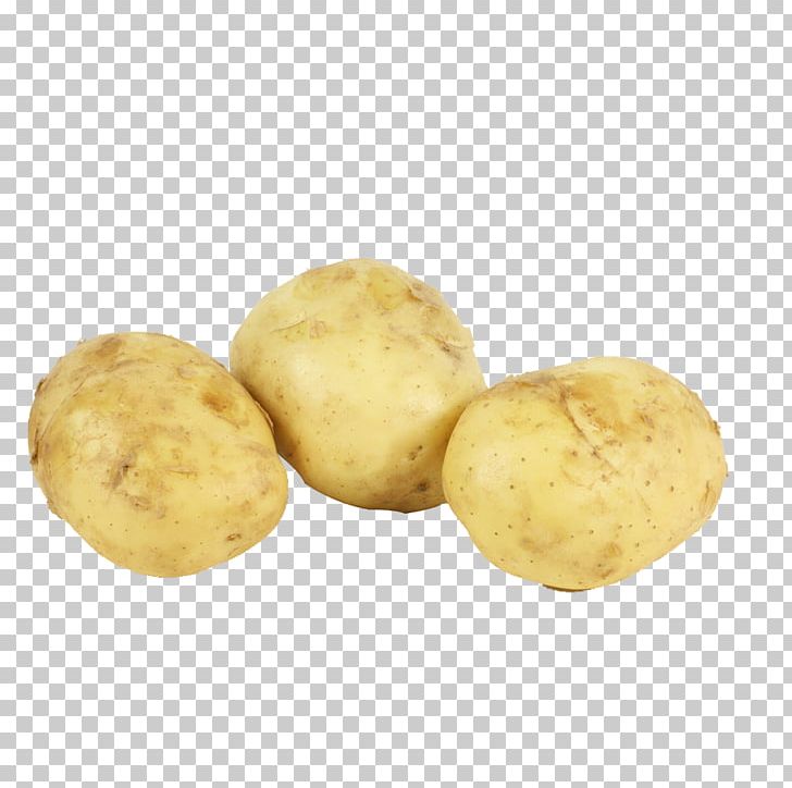 Russet Burbank Yukon Gold Potato Irish Potato Candy Potato Varieties ...