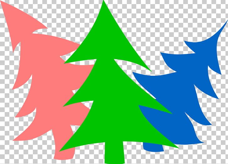 Tree Spruce Pine PNG, Clipart, Basal Area, Christmas Decoration, Christmas Ornament, Christmas Tree, Conifer Free PNG Download