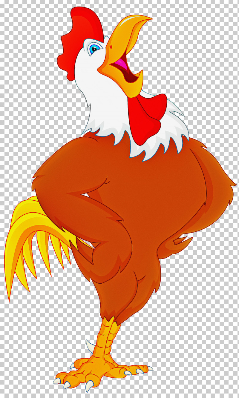 Rooster Chicken Bird Cartoon Beak PNG, Clipart, Beak, Bird, Cartoon, Chicken, Rooster Free PNG Download