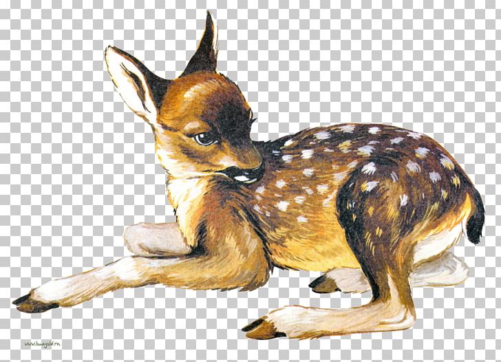 Deer Dog Breed Drawing PNG, Clipart, Animal, Animals, Carnivoran, Deer, Dog Free PNG Download