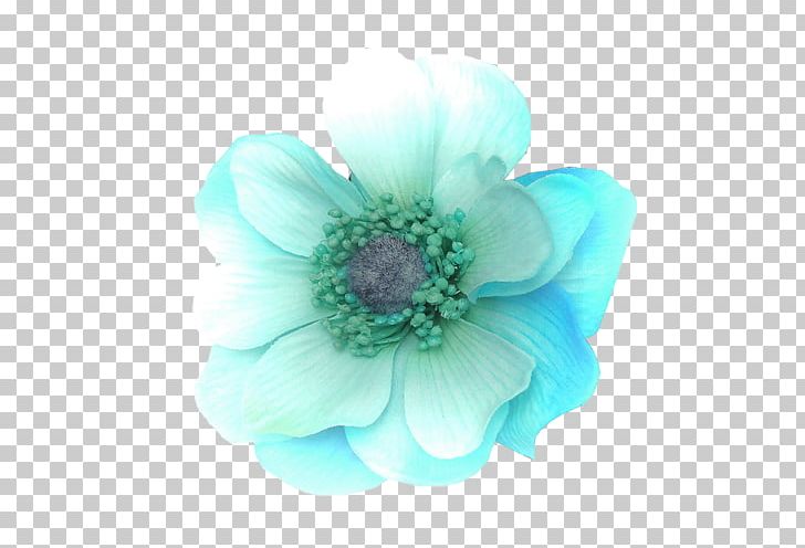Flower Bouquet Turquoise Color Petal PNG, Clipart, Anemone, Blue, Color, Flower, Flower Bouquet Free PNG Download