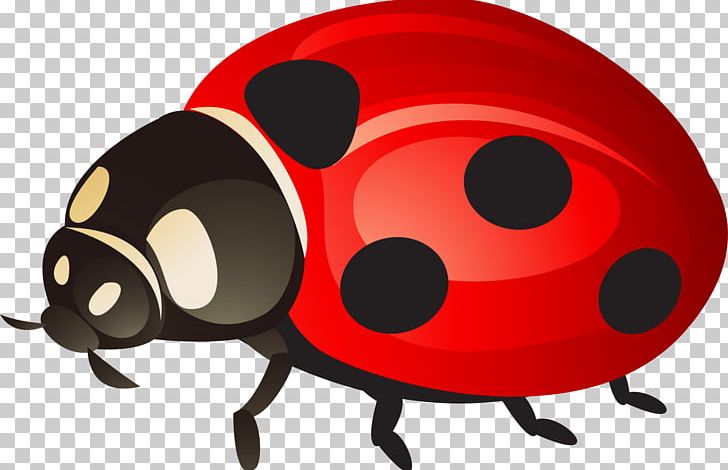 Ladybird PNG, Clipart, Beautiful, Beetle, Cartoon, Coccinella, Coccinella Septempunctata Free PNG Download