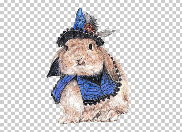 Rabbit Hare Colored Pencil Animal Illustration PNG, Clipart, Animals, Cartoon Rabbit, Col, Color, Color Of Lead Videos Free PNG Download
