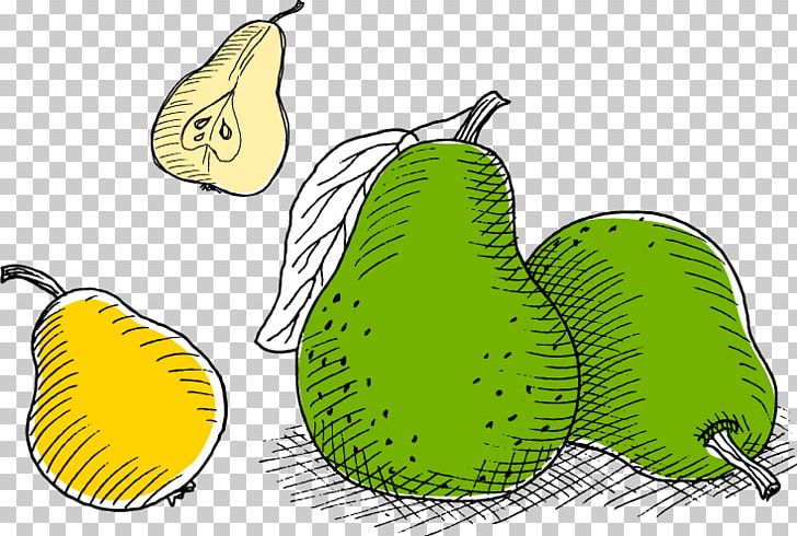 Juice Pyrus Nivalis European Pear Auglis Fruit PNG, Clipart, Boy Cartoon, Cartoon, Cartoon Eyes, European Pear, Food Free PNG Download