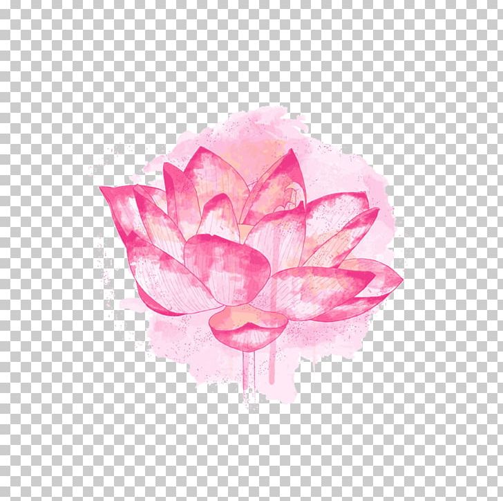 Nelumbo Nucifera Plant Symbolism PNG, Clipart, Flower, Flowering Plant, Garden Roses, Line, Lotus Free PNG Download