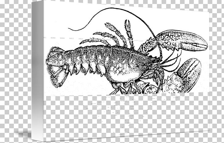 Plateau De Fruits De Mer American Lobster Palinurus Apron Seafood PNG, Clipart, American Lobster, Animal Source Foods, Apron, Black And White, Decapoda Free PNG Download