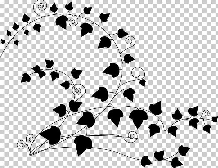 Vine PNG, Clipart, Angle, Black, Black And White, Branch, Circle Free PNG Download