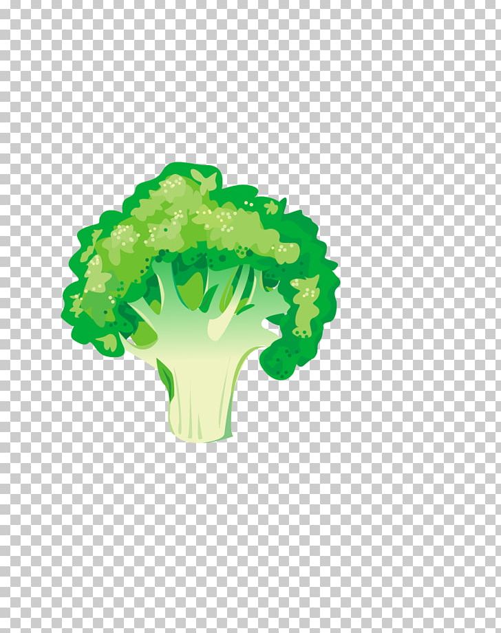 Broccoli Leaf Vegetable Asparagus Food PNG, Clipart, Broccoli, Cabbage, Cauliflower, Cauliflower Vector, Collard Greens Free PNG Download