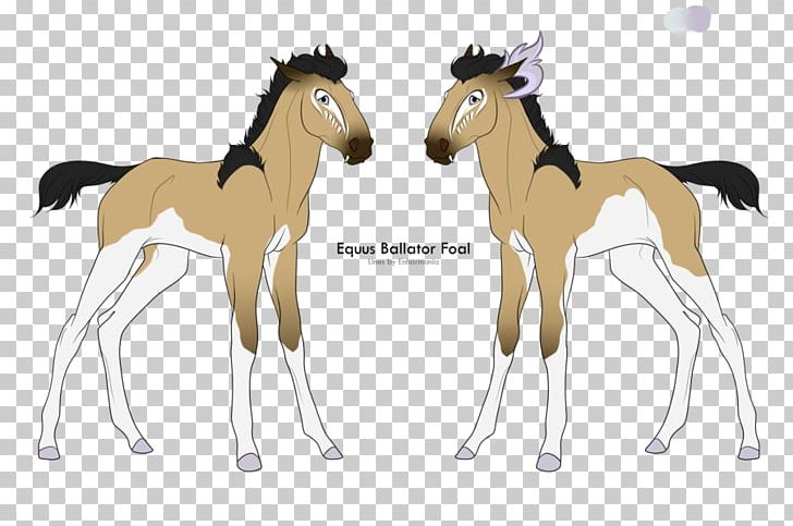 Foal Mustang Colt Stallion Mare PNG, Clipart,  Free PNG Download