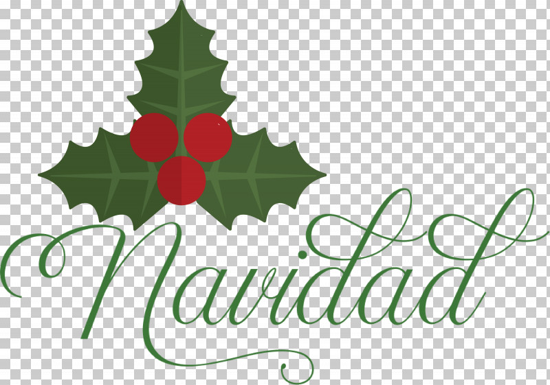 Navidad Christmas PNG, Clipart, Aquifoliales, Biology, Christmas, Christmas Day, Christmas Ornament Free PNG Download