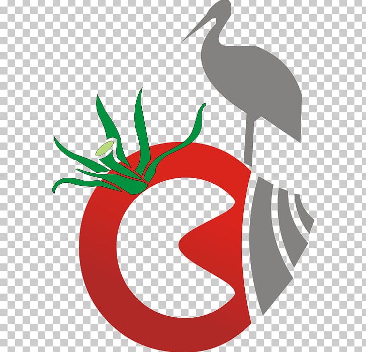 Kumluca Haberleri Kayıp Aranıyor Beak YouTube PNG, Clipart, Acute Lymphoblastic Leukemia, Artwork, Beak, Bird, Flora Free PNG Download