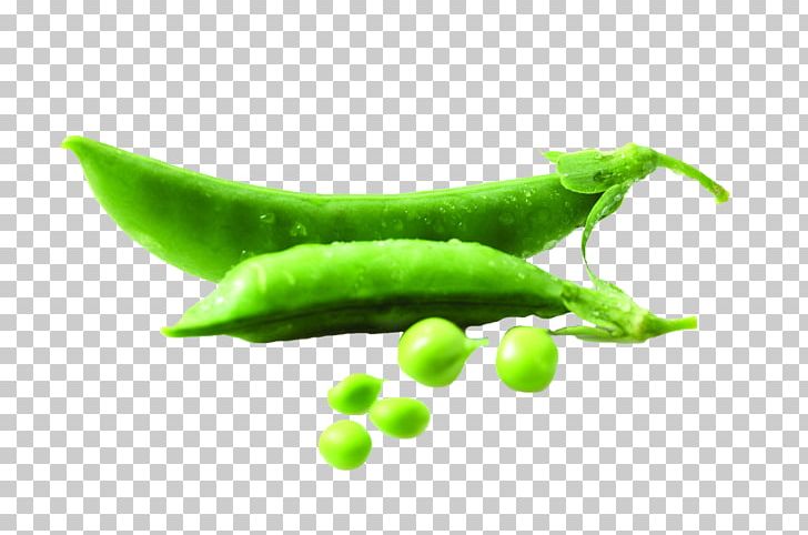 Pea Bean Vegetable Food Legume PNG, Clipart, Bean, Beans, Butterfly Pea, Butterfly Pea Flower, Cartoon Peas Free PNG Download