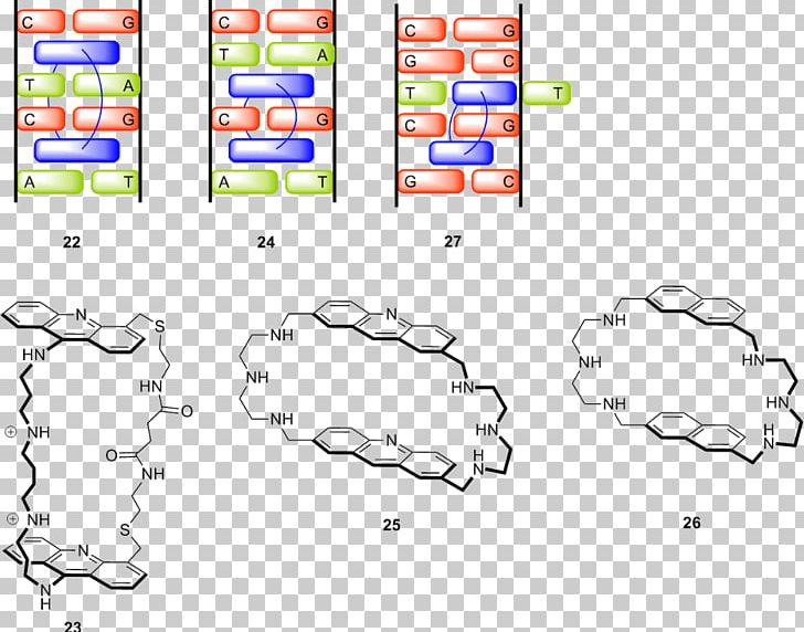 Supramolecular Chemistry Molecule Organism PNG, Clipart, Adenine, Area, Author, Career, Cartoon Free PNG Download