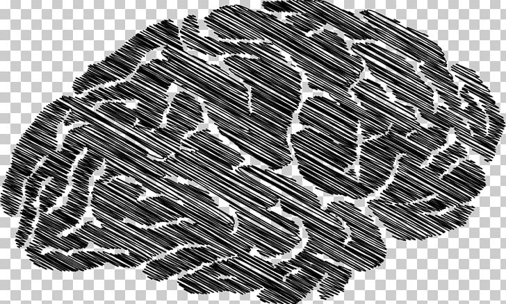Zazzle Printing Information Brain Endocannabinoid System PNG, Clipart, Automotive Tire, Black, Black And White, Brain, Download Free PNG Download