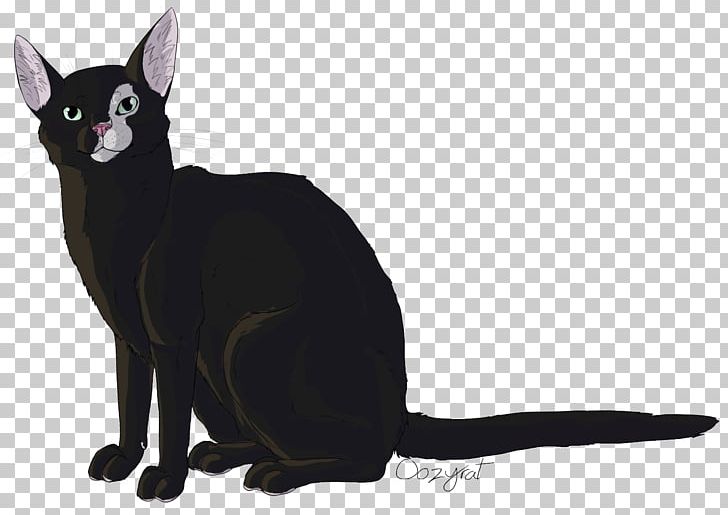 Black Cat Bombay Cat Kitten Domestic Short-haired Cat Whiskers PNG, Clipart, Animals, Black Cat, Bombay Cat, Carnivoran, Cat Free PNG Download
