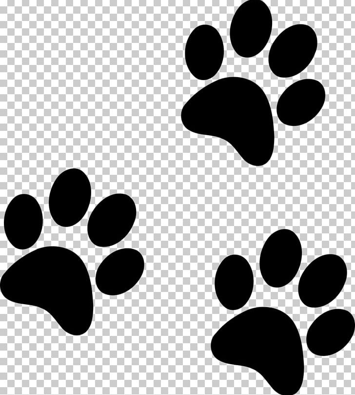 Dog Paw Cat PNG, Clipart, American Kennel Club, Animals, Bear, Black, Black And White Free PNG Download