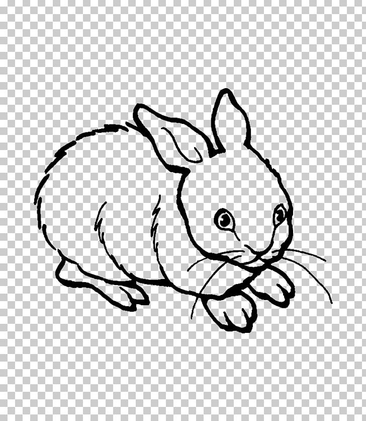 European Rabbit Drawing Painting PNG, Clipart, Adult, Animal, Animals, Area, Black Free PNG Download
