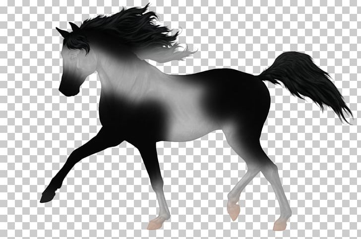 Mustang Stallion Foal Colt Dog PNG, Clipart, Animal Figure, Bridle, Colt, Dog, Drawing Free PNG Download