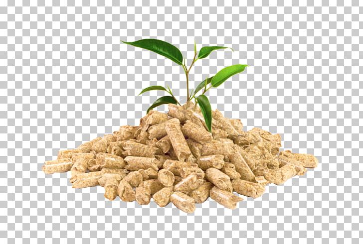 Pellet Fuel Biomass Woodchips Pellet Mill PNG, Clipart, Biodiesel, Biomass, Biomass Heating System, Boiler, Commodity Free PNG Download