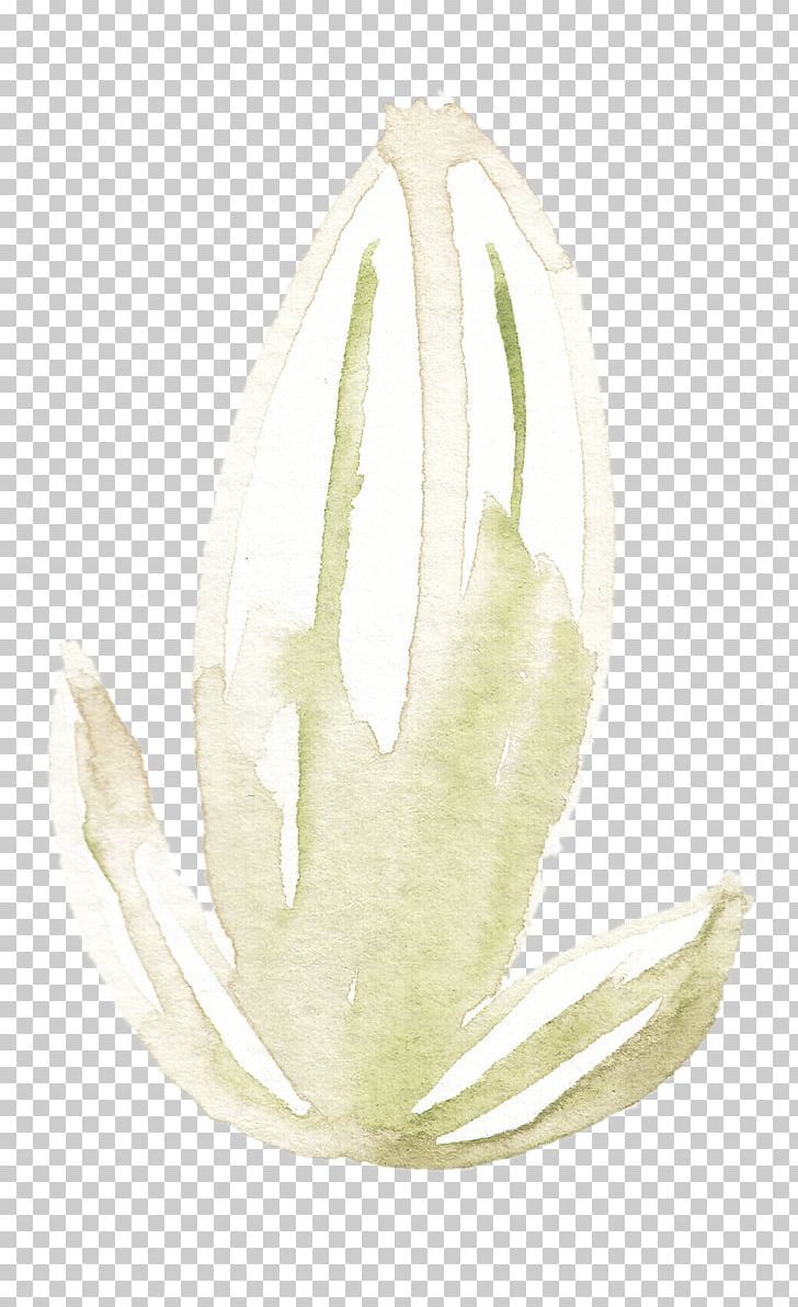 White Lilium Candidum Fleur-de-lis PNG, Clipart, Commodity, Download, Drawing, Euclidean Vector, Fleurdelis Free PNG Download