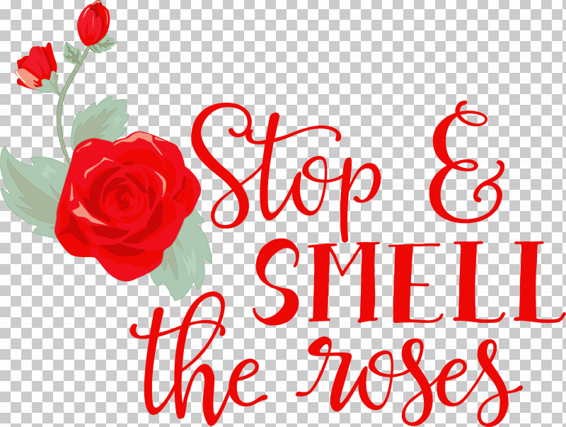 Rose Stop And Smell The Roses PNG, Clipart, Cut Flowers, Floral Design, Flower, Flower Bouquet, Garden Free PNG Download