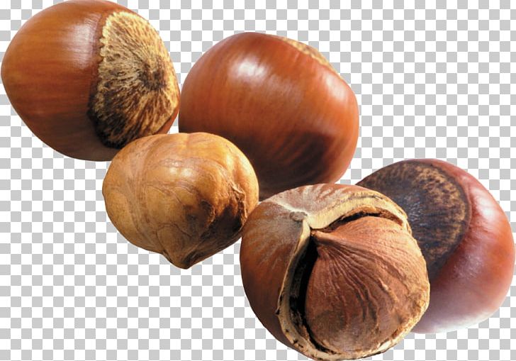 Hazelnut Nuts Walnut PNG, Clipart, Almond, Chestnut, Desktop Wallpaper, Dried Fruit, Encapsulated Postscript Free PNG Download