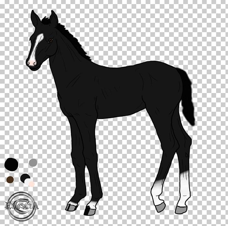 Mustang Foal Pony Stallion PNG, Clipart, Black And White, Bridle, Colt, Foal, Halter Free PNG Download