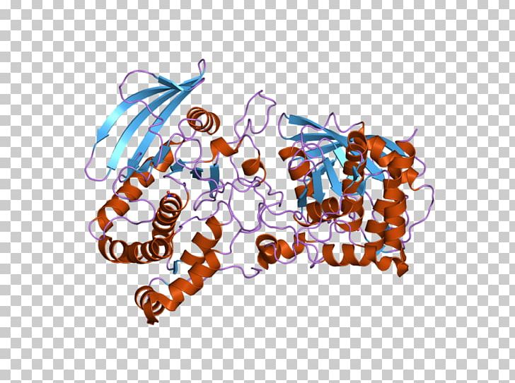 Protein Phosphatase Gene Tyrosine PNG, Clipart, 2 Pi, Area, Art, Domain, Ebi Free PNG Download