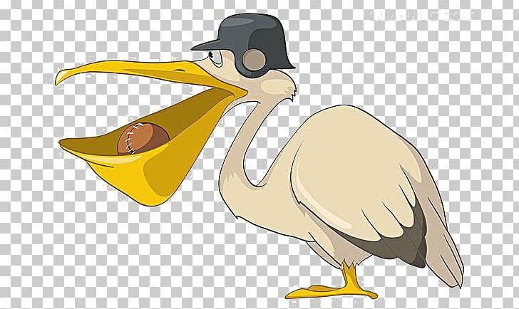 Pelican Bird Cartoon Illustration PNG, Clipart, Animals, Animation, Ball, Balloon Cartoon, Beak Free PNG Download