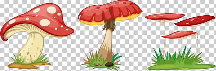 Fungus Cartoon Mushroom PNG, Clipart, Art, Cartoon, Cartoon Mushrooms, Color, Color Mushrooms Free PNG Download