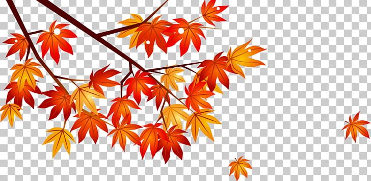 Maple Leaf Autumn 3D Computer Graphics PNG, Clipart, 3d Computer Graphics, Autumn Leaf, Branch, Branches, Computer Graphics Free PNG Download