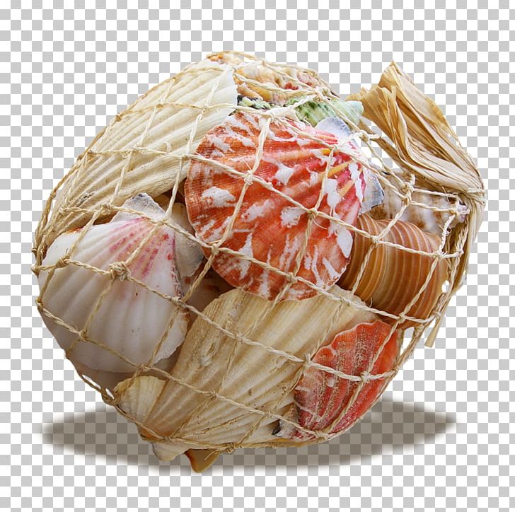 Seashell Seafood Blog PNG, Clipart, Basket, Centerblog, Commodity, Creative Artwork, Creative Background Free PNG Download